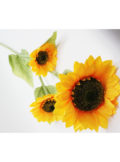 해바라기 가지조화(3줄기)