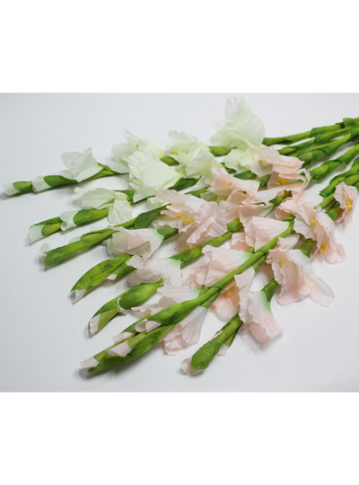 글라디올러스조화(10개)화이트