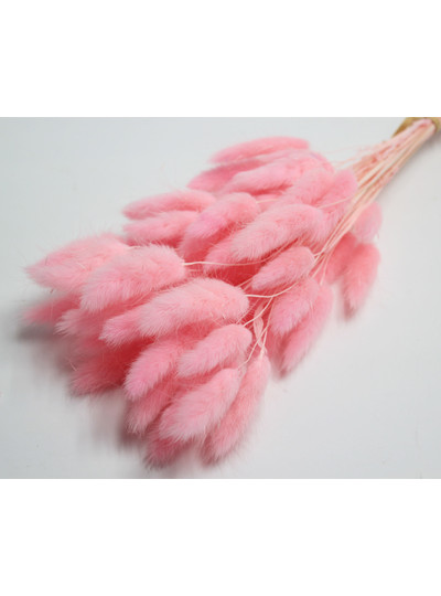 라그라스(핑크)