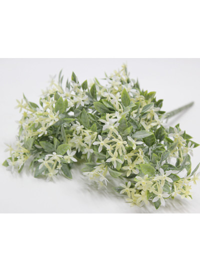 스타플라워부쉬조화(크림)5줄기