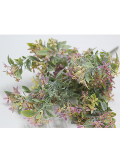 스타플라워부쉬조화(라벤다)5줄기