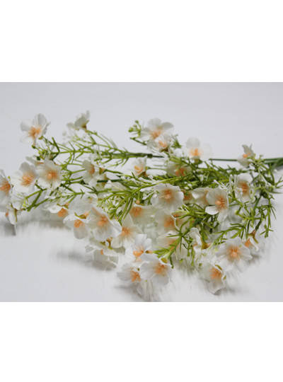 프록스부쉬조화(크림)6줄기