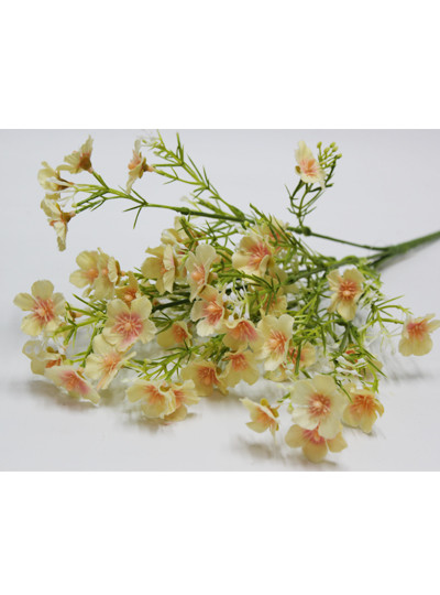 프록스부쉬조화(피치)6줄기