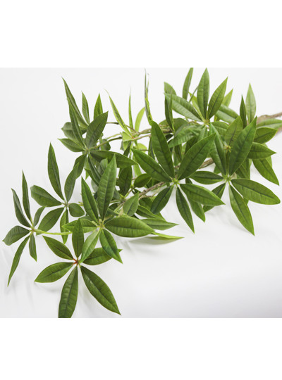 파키라가지조화 대(22가지)