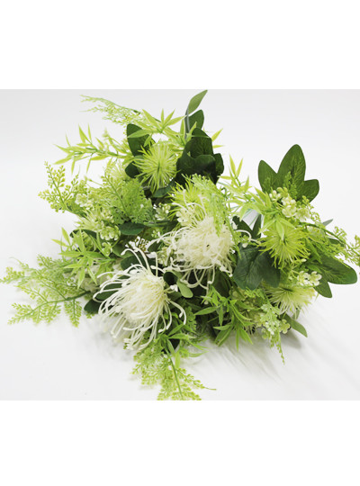 프로테아믹스부쉬조화(11줄기)