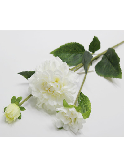 다알리아가지 조화(크림)3줄기