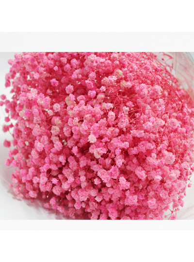 프리져브드안개(핑크)약380g