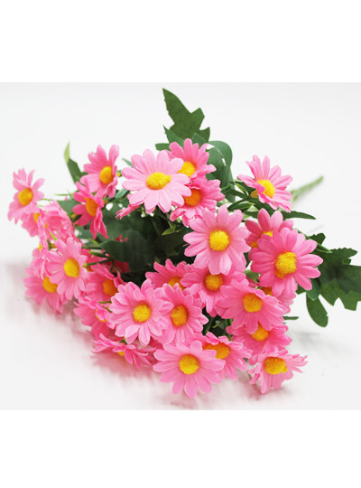 구절초부쉬조화(다크핑크)12줄기