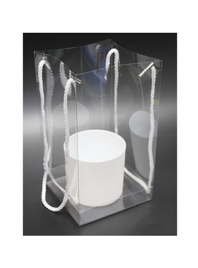 10포트캐리어케이스(투명)5개