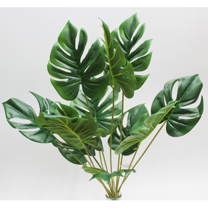 몬스테라부쉬조화(M130)