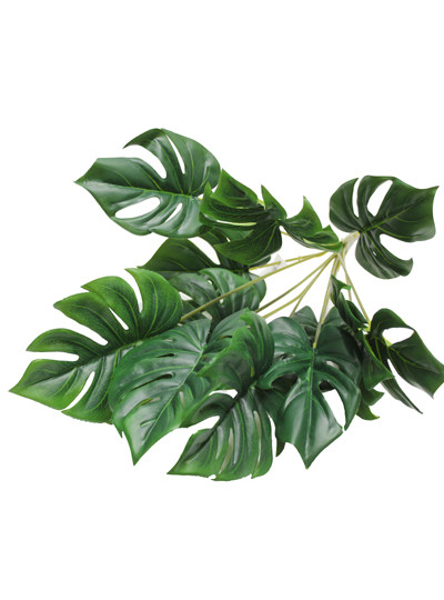 몬스테라부쉬조화(M130)