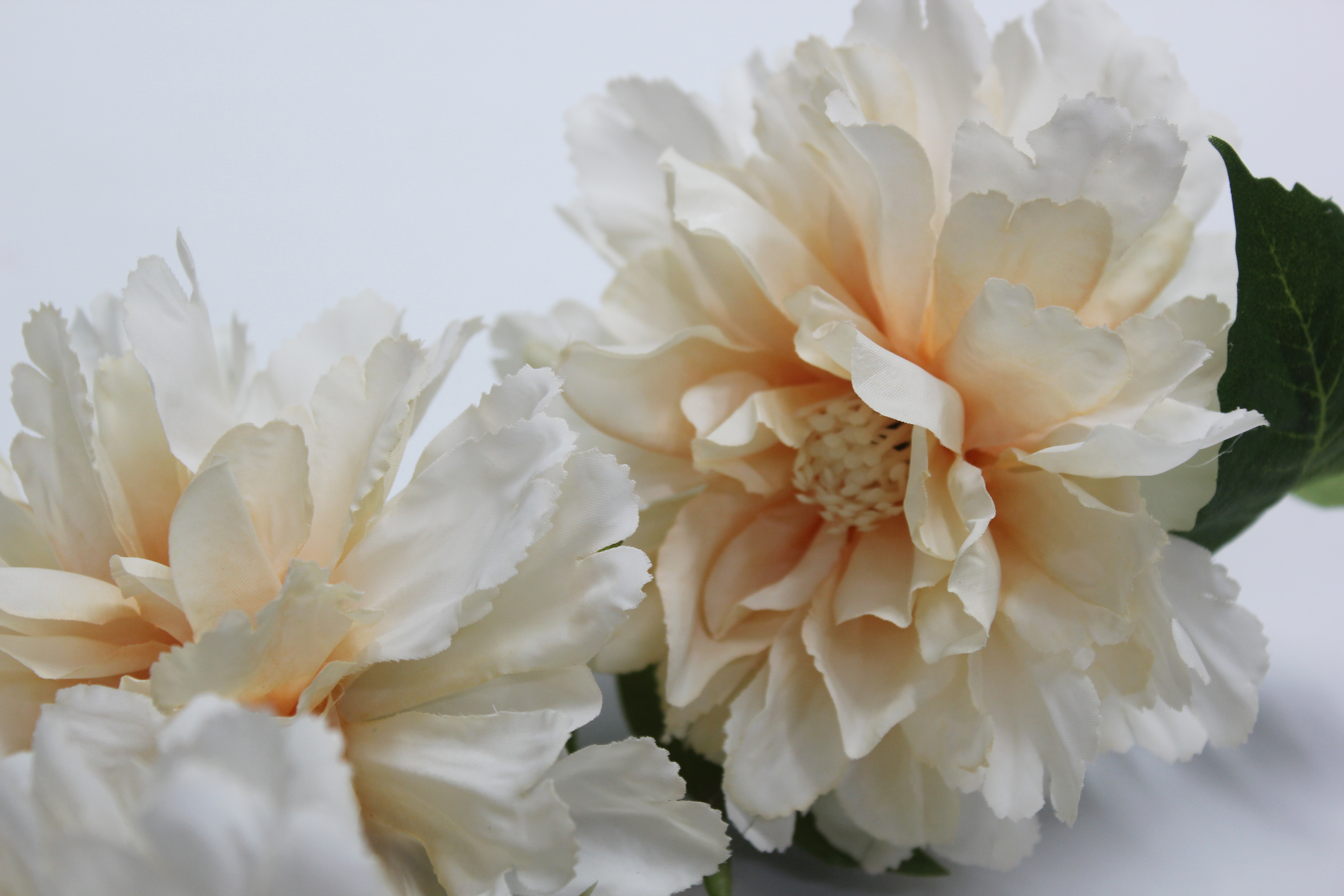 로즈히비스커스가지 조화(피치)