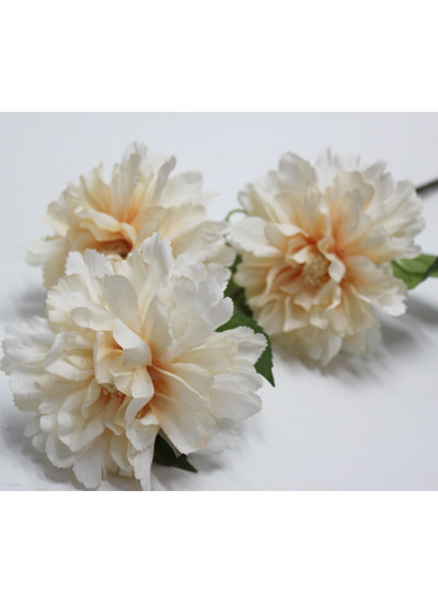 로즈히비스커스가지 조화(피치)