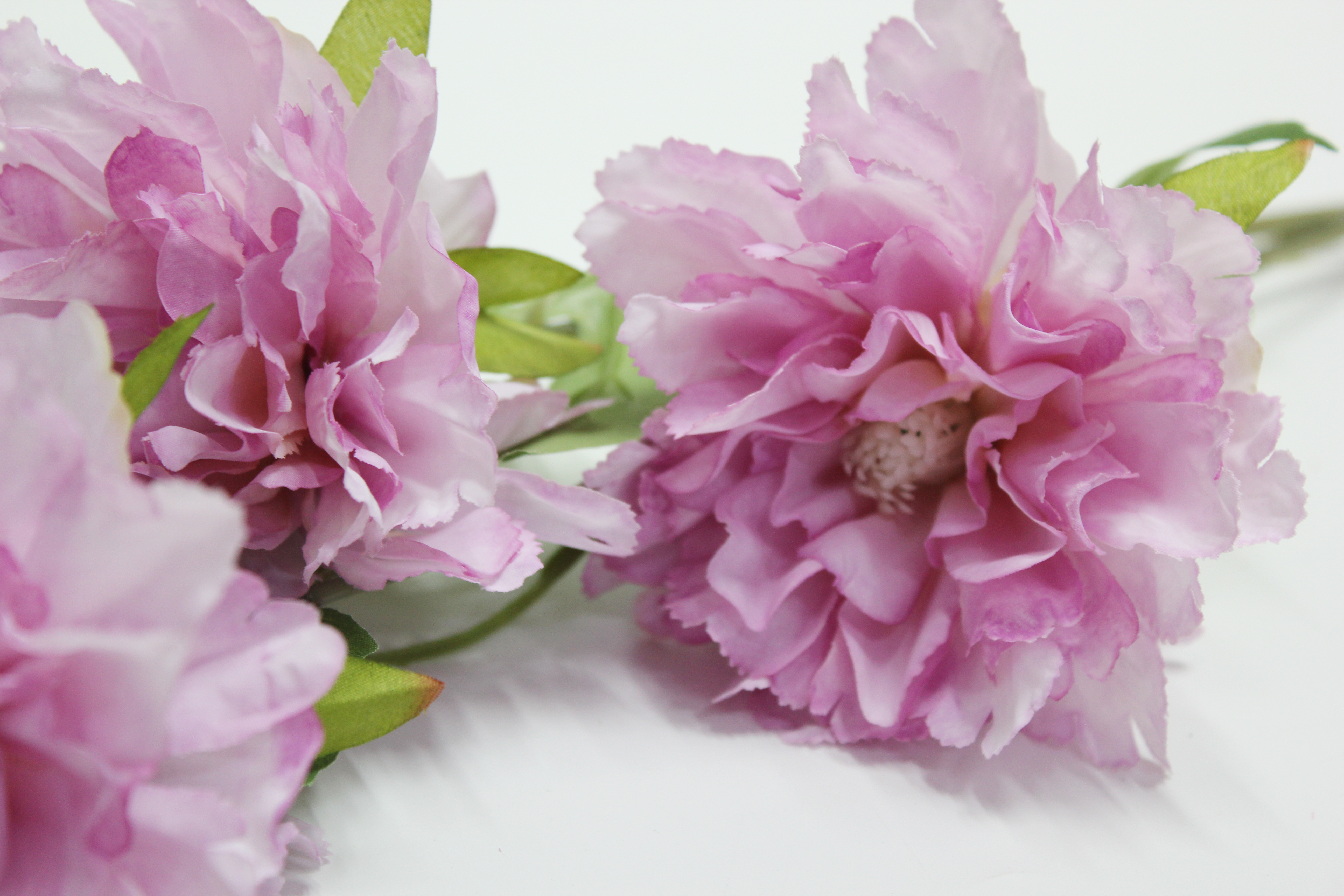 로즈히비스커스가지 조화(라벤더)