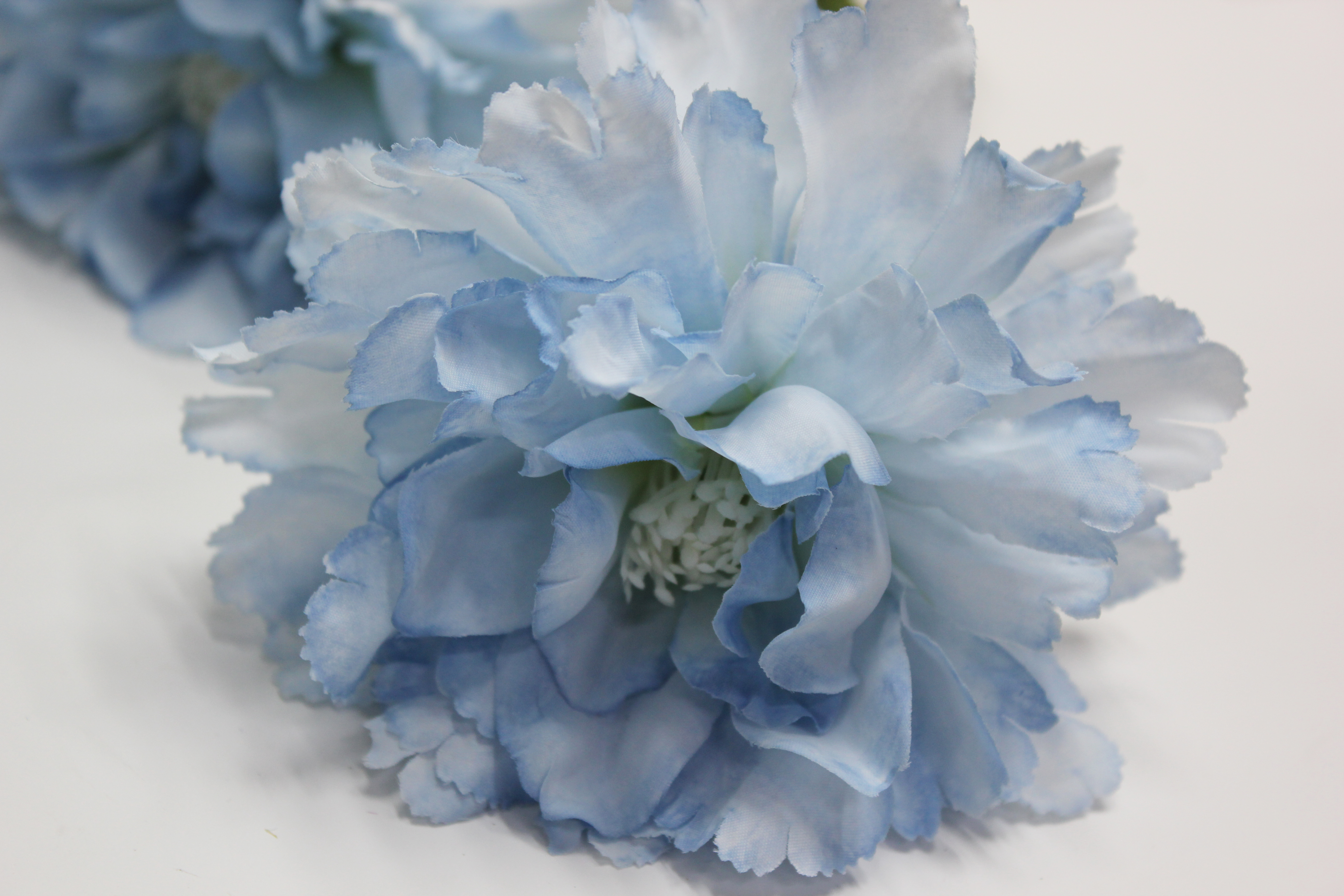 로즈히비스커스가지 조화(블루)