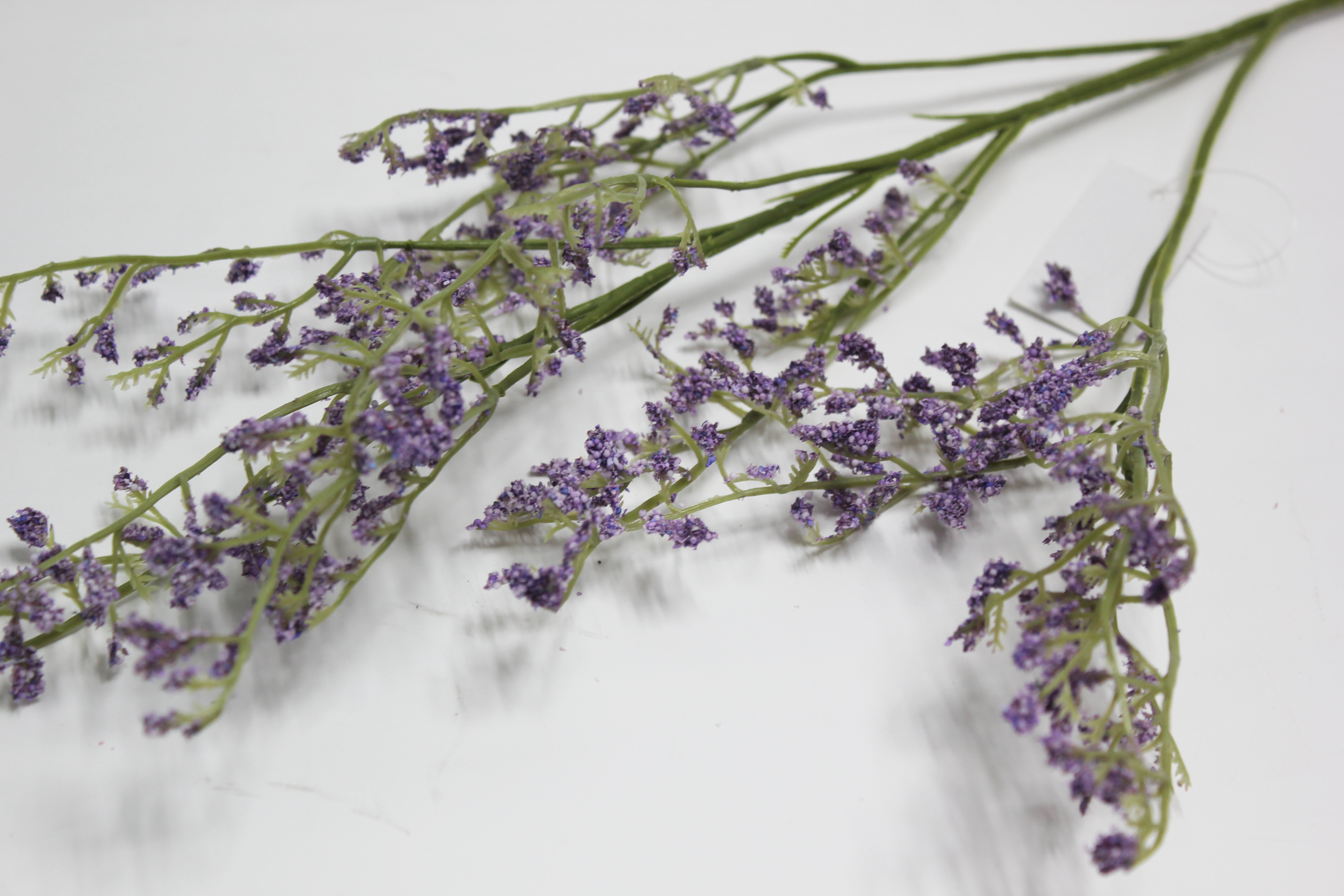 카스피아가지 조화(라벤더)