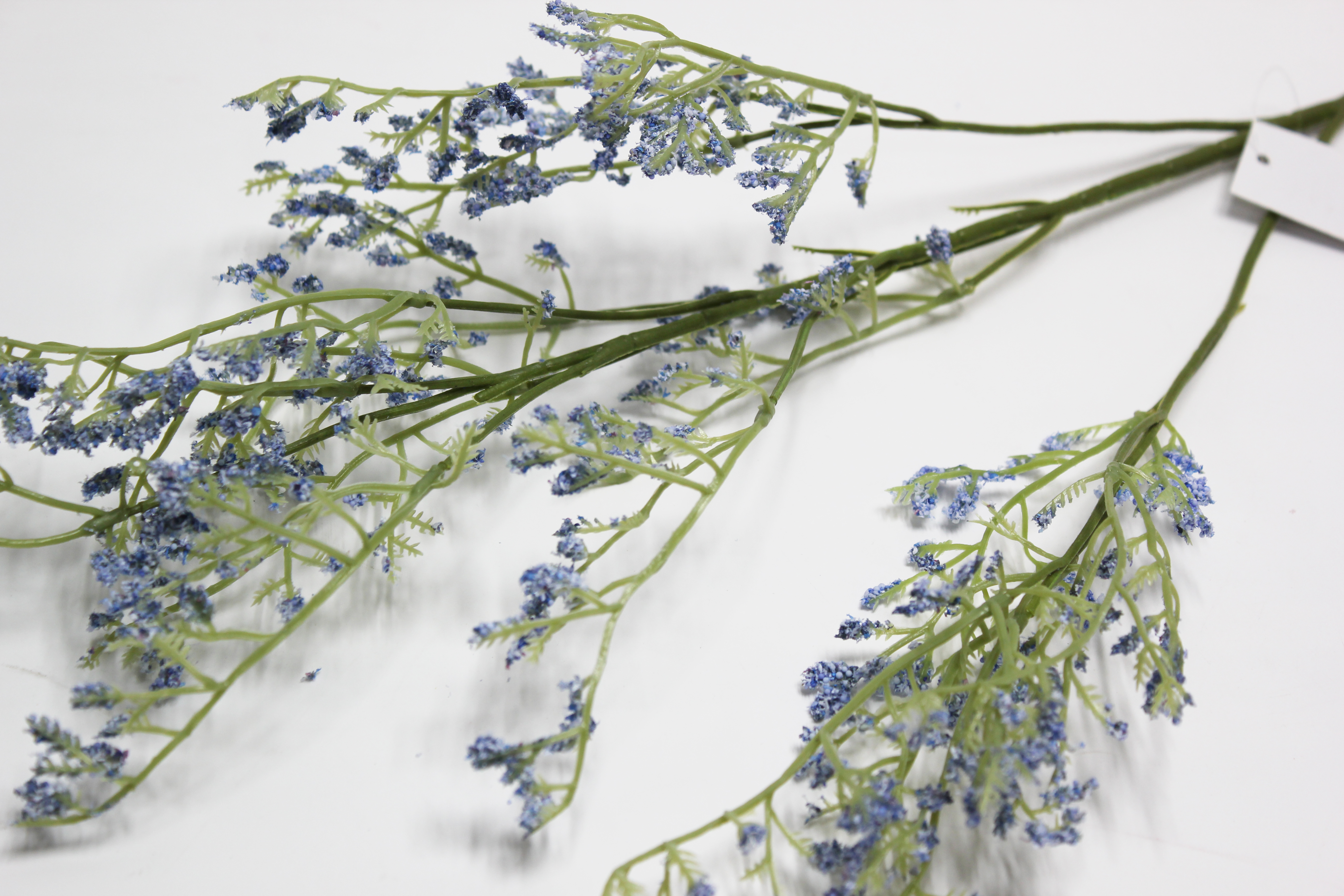 카스피아가지 조화(블루)