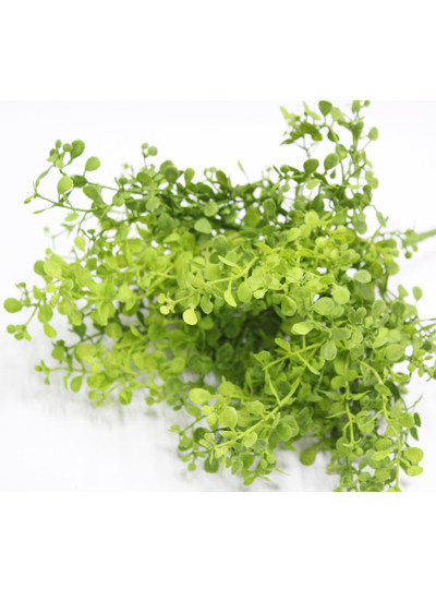 미니버튼잎부쉬 조화(그린)