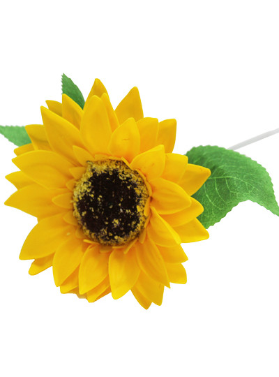 비누 해바라기(50개)꽃대포함